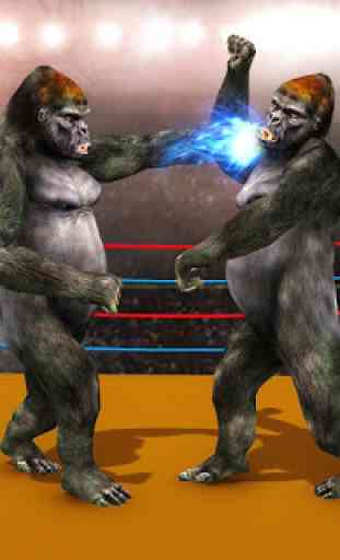 Jeu de boxe Gorilla Ring 2