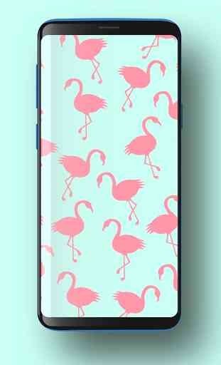 Cute Flamingo Wallpapers HD 3
