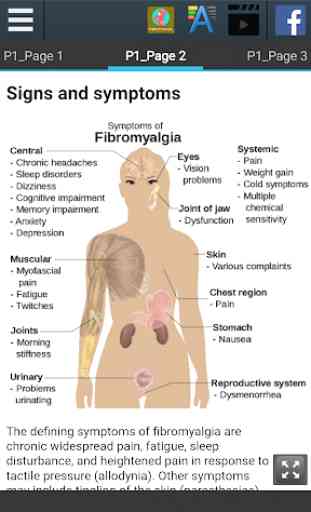 Fibromyalgia Info 2