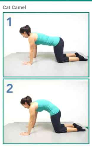 Straight Posture Exercises - Healthy Back & Spine 3