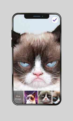 Grumpy Cat Wallpaper HD Screen Lock 3