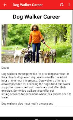 How To Become A Dog Walker 3