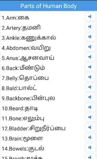 Daily Words English to Tamil 3