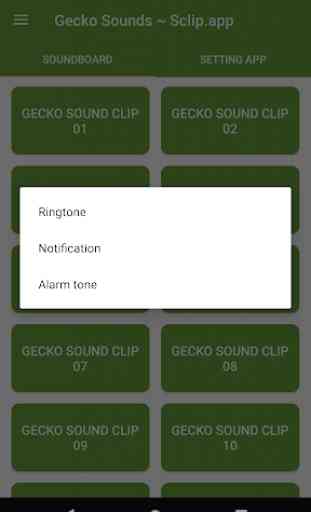 Gecko Sound Collections ~ Sclip.app 3
