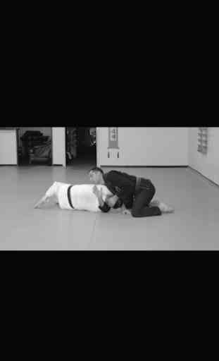 Jiu Jitsu Crash Course 3