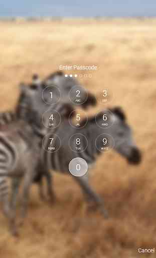 Wild Zebra HD Lock Screen 4