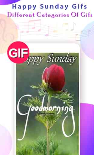 Happy Sunday Gif 1