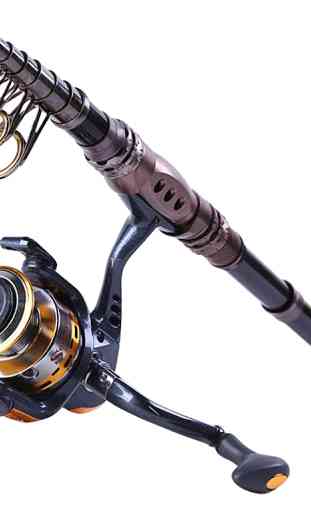 Reel Model Fishing Rod 1