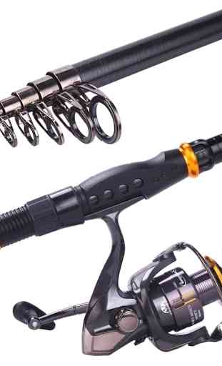 Reel Model Fishing Rod 3