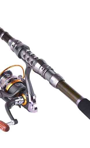 Reel Model Fishing Rod 4