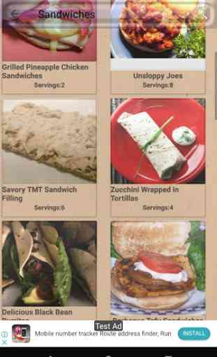 Sandwich Recipes and Wrap Recipes 2