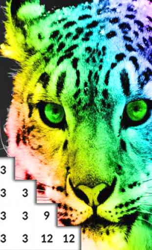 Wild Animals Color By Number FREE 4