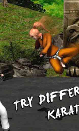 Karaté Fighting Tiger 3D 2