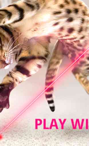 Laser pour chat. Simulateur 1