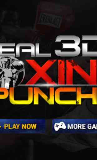 Real 3D Boxing Punch 1