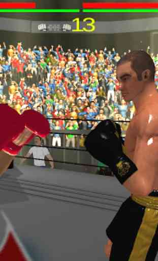 Real 3D Boxing Punch 4
