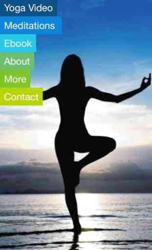 Vinyasa Flow Yoga, Beginner 1