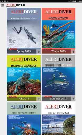 Alert Diver 2