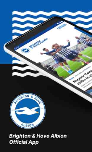 Brighton & Hove Albion FC Official App 1