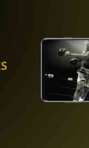 Boxing Live Streaming in HD 1