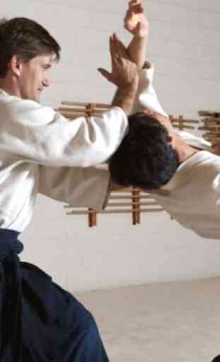 Exercices d'aïkido et de karaté. Auto défense 2