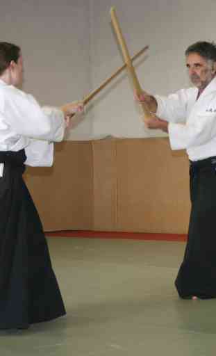 Exercices d'aïkido et de karaté. Auto défense 3