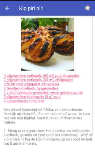 Barbecue (BBQ) recepten app nederlands gratis 2