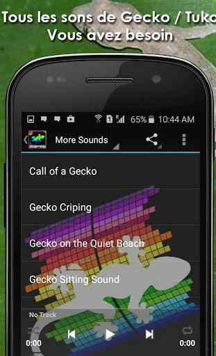 Gecko Tuko Sounds Gratuit 1