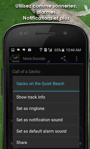 Gecko Tuko Sounds Gratuit 2