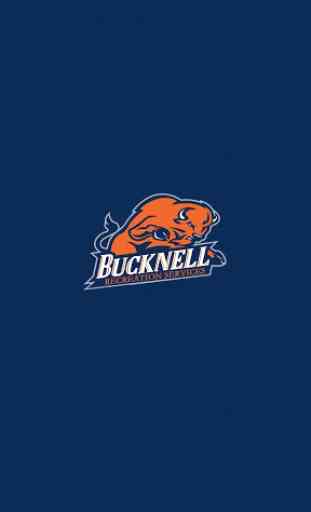 Bucknell Rec 1