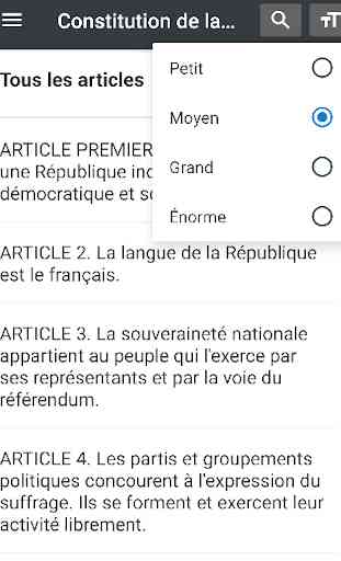 Constitution  (France) 4