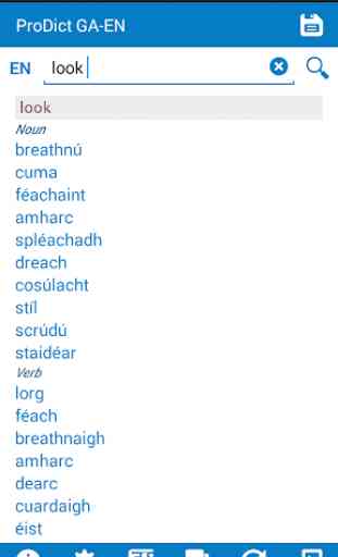 Irish English dictionary 2