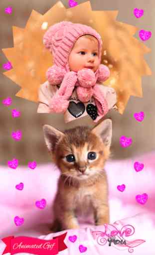 Sweet Cats GIF Photo Frames 1