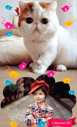 Sweet Cats GIF Photo Frames 2