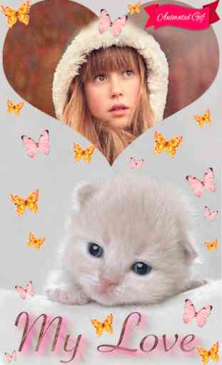 Sweet Cats GIF Photo Frames 3