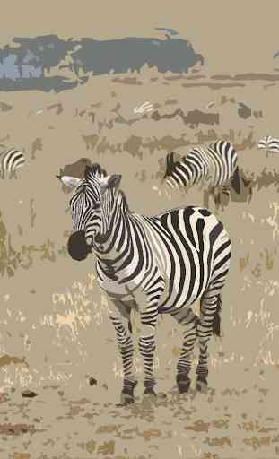 Zebra (Animal) sounds ~ Sboard.pro 1