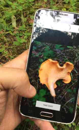 Mushrooms identification AI 2