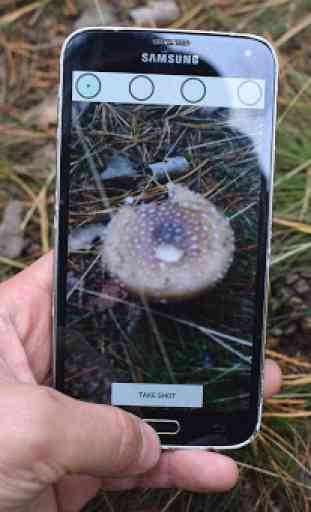 Mushrooms identification AI 3