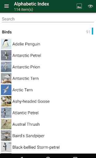 Antarctic Wildlife Guide 1
