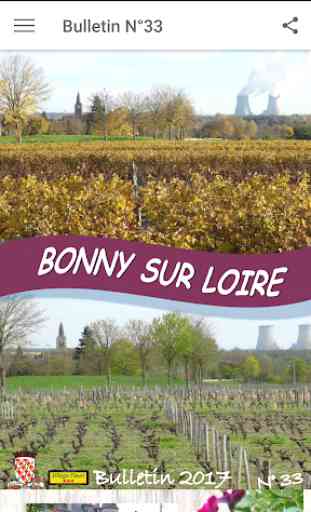 Bonny sur Loire 4