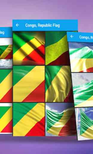 Congo Republic Flag Wallpaper 3