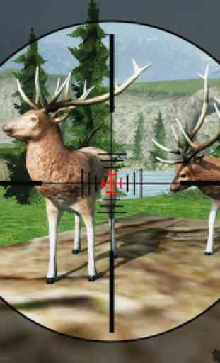 Deer Hunting : Wild Animal Sniper Hunter 3