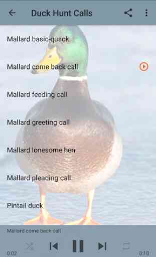 Duck Hunting Calls 2