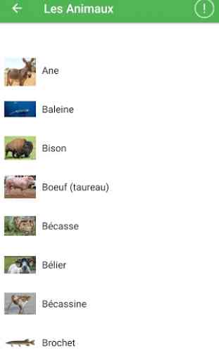 Femelle des animaux - Nom des animaux en français 1