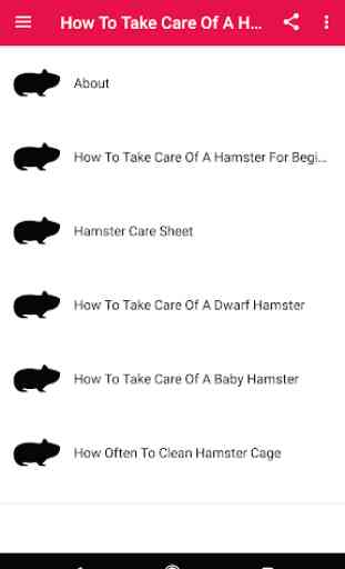 How To Take Care Of A Hamster 2