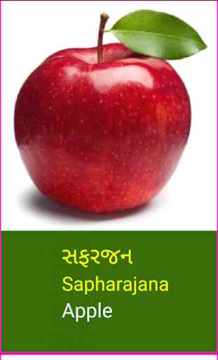 Learn Gujarati Fruits and Vegetables 3