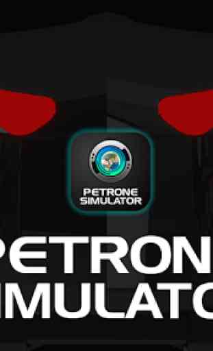 Petrone Simulator 1