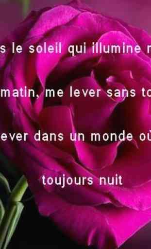Phrases D'amour 2020 2