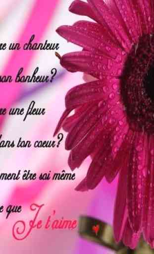 Phrases D'amour 2020 3