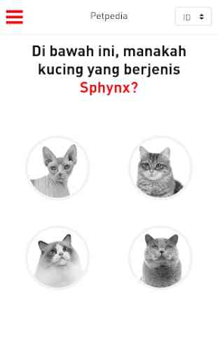 Royal Canin Points 3